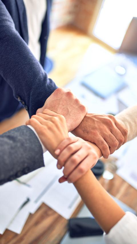 Icono de reconocimiento global dentro del ecosistema Odoo